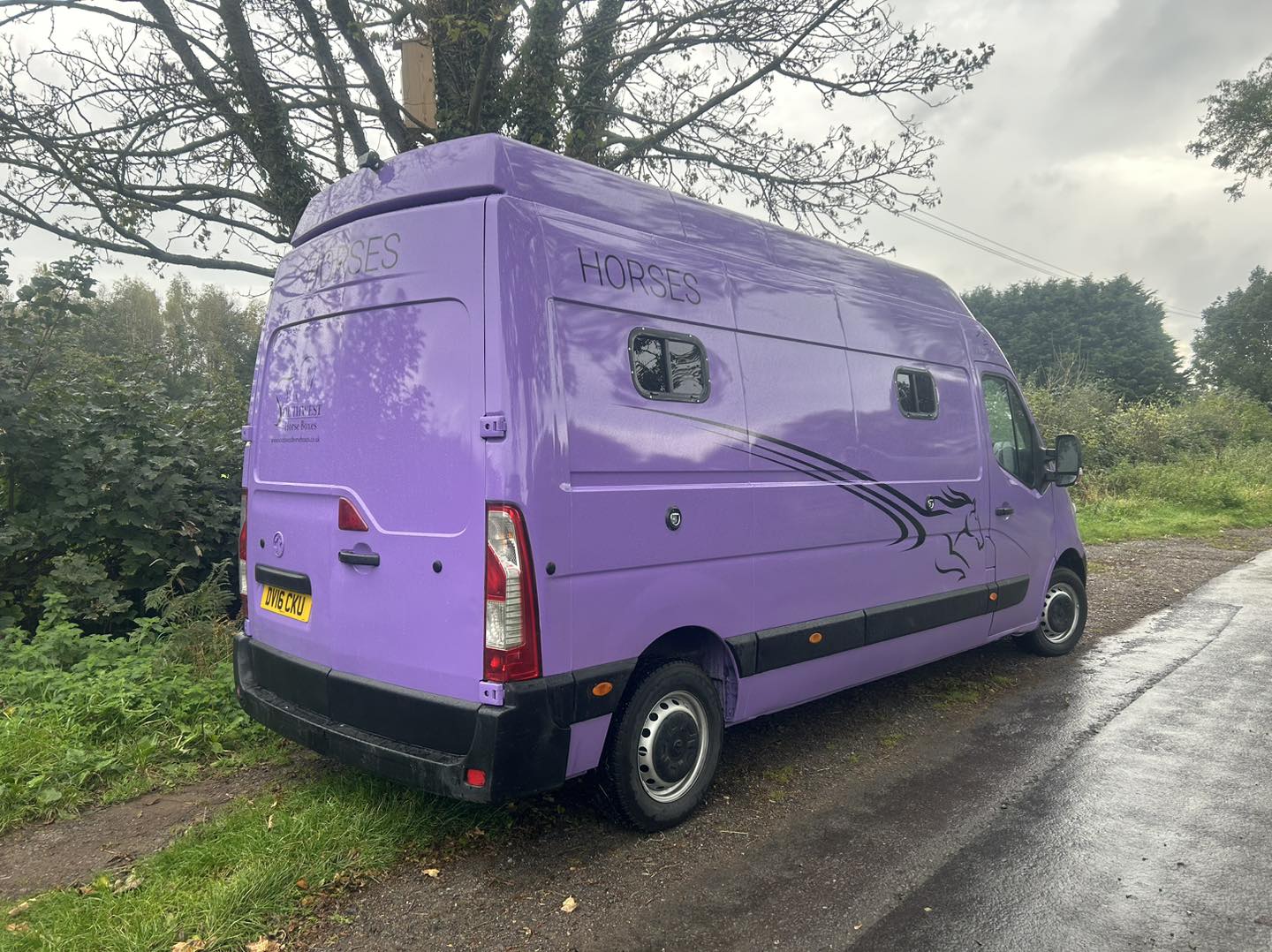 New Build Horseboxes For Sale - Horse Vans